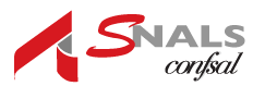 logo snals